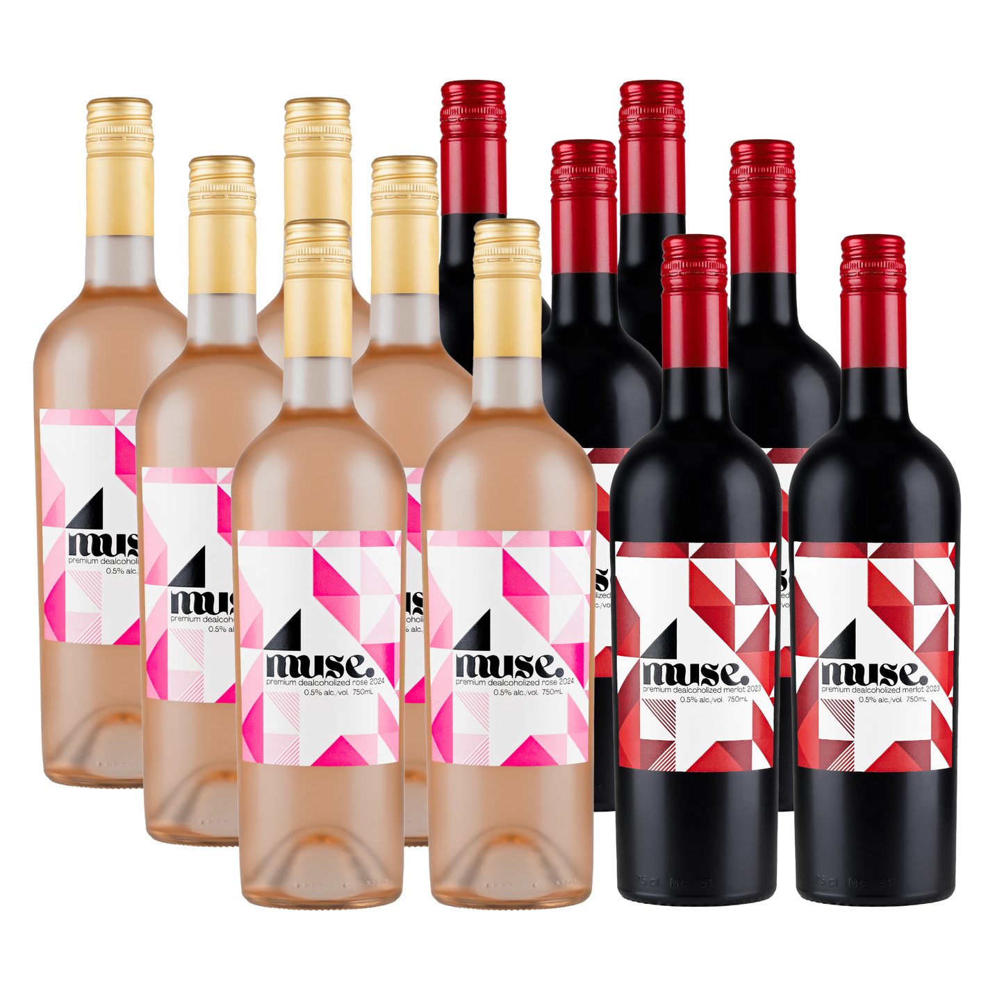 Muse Discovery Case 12 Bottles